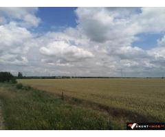 Anunturi Imobiliare Teren Buftea Gara apropiere  Centura 52000 mp Industrial Depozitare