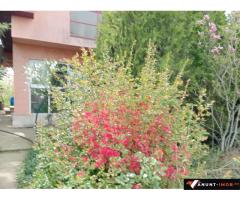 Anunturi Imobiliare CASA DE VANZARE cu LIVADĂ