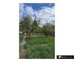 Anunturi Imobiliare CASA DE VANZARE cu LIVADĂ