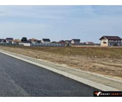 Anunturi Imobiliare teren de vanzare Cumpana zona Tabara