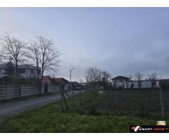 Anunturi Imobiliare anunturi vanzari terenuri in Tuzla