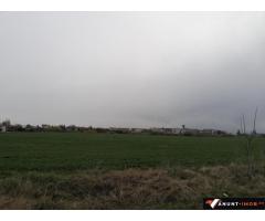 Anunturi Imobiliare Teren Balotesti Saftica lot casa 1250 mp str Lacului