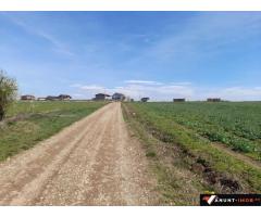 Anunturi Imobiliare Teren Balotesti Saftica lot casa 1250 mp str Lacului
