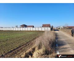 Anunturi Imobiliare Teren Caciulati Moara Vlasiei 1500 mp str Aleea Trandafirilor