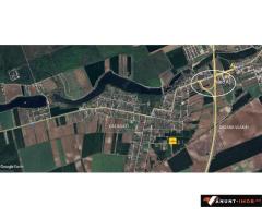 Anunturi Imobiliare Teren Caciulati Moara Vlasiei 1500 mp str Aleea Trandafirilor