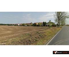 Anunturi Imobiliare Teren la sosea Balotesti Caciulati 1 Ha zona Mixta