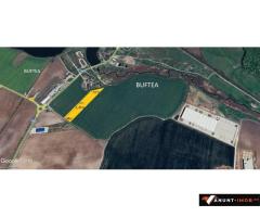 Anunturi Imobiliare Teren Buftea  str Milano  14000 mp zona Mixta