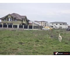Anunturi Imobiliare teren de vanzare constanta zona km 5 veterani