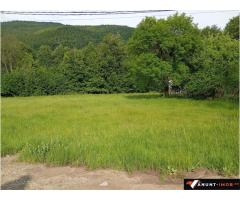 Anunturi Imobiliare CHEIA - Maneciu Ungureni