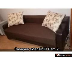 Anunturi Imobiliare Pt doamne, 1 - 2 cam Demisol vilă; Metrou Victoriei, Romana, Gara Nord