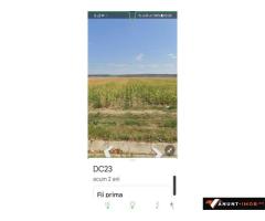 Anunturi Imobiliare Dau pe DC23, 2844mp si 3652mp, Com. Simian