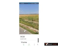 Anunturi Imobiliare Dau pe DC23, 2844mp si 3652mp, Com. Simian