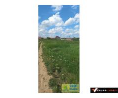Anunturi Imobiliare Techirghiol, teren 2.496mp, extravilan
