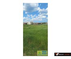 Anunturi Imobiliare Techirghiol, teren 2.496mp, extravilan