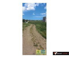 Anunturi Imobiliare Techirghiol, teren 2.496mp, extravilan