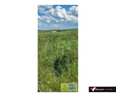 Anunturi Imobiliare Techirghiol, teren 2.496mp, extravilan