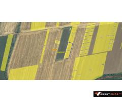 Teren intravilan Snagov, Tancabesti, 3.293 mp, D: 36.57 m, comision 0%