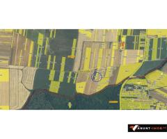 Anunturi Imobiliare Teren intravilan Snagov, Tancabesti, 3.293 mp, D: 36.57 m, comision 0%