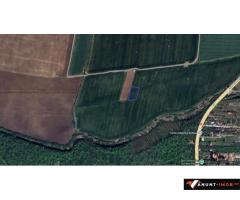 Anunturi Imobiliare Teren intravilan Snagov, Tancabesti, 3.293 mp, D: 36.57 m, comision 0%