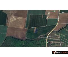 Anunturi Imobiliare Teren intravilan Snagov, Tancabesti, 3.293 mp, D: 36.57 m, comision 0%