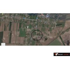 Anunturi Imobiliare Vanzare teren 2000 mp Caciulati
