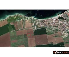 Anunturi Imobiliare Teren de vanzare Costinesti
