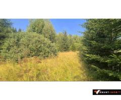 Anunturi Imobiliare Vatra Dornei - Saru Dornei, Teren S = 6450 mp; 13 km de Vatra Dornei