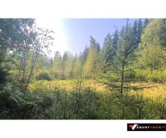 Anunturi Imobiliare Vatra Dornei - Saru Dornei, Teren S = 6450 mp; 13 km de Vatra Dornei