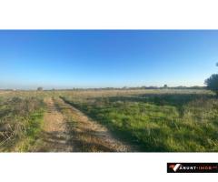 Anunturi Imobiliare Butimanu – Teren ideal pentru casă, 900 mp, deschidere 38 m - 10 euro