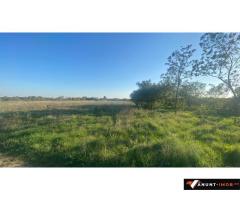 Anunturi Imobiliare Butimanu – Teren ideal pentru casă, 900 mp, deschidere 38 m - 10 euro