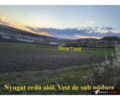 Anunturi Imobiliare Teren intravilan 7 arii, poziționat însorit, cu priveliște excepțional