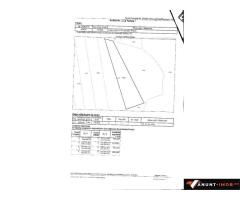 Anunturi Imobiliare Vand padure 5 ha, Satic, Rucar-Bran