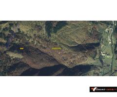 Anunturi Imobiliare Vand padure 5 ha, Satic, Rucar-Bran