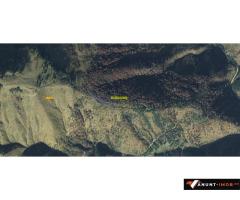 Anunturi Imobiliare Vand padure 5 ha, Satic, Rucar-Bran