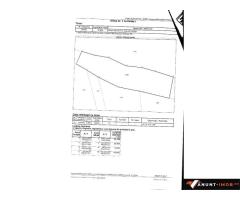 Anunturi Imobiliare Vand padure 5 ha, Satic, Rucar-Bran