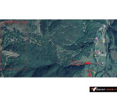 Anunturi Imobiliare Vand padure 5 ha, Satic, Rucar-Bran