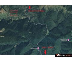 Anunturi Imobiliare Vand padure 5 ha, Satic, Rucar-Bran