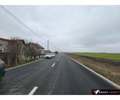 Anunturi Imobiliare teren de vanzare Cumpana zona Movila