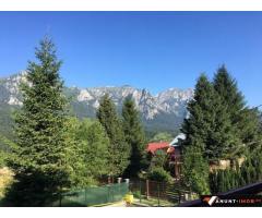 Anunturi Imobiliare Vila deosebita de vanzare in Busteni, zona Piatra Arsa