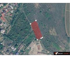 Anunturi Imobiliare Vanzare teren Urlati / 3.500 mp / comision 0%