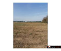 Anunturi Imobiliare Vânzare teren extravilan agricol – oportunitate excelentă de investiți