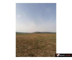 Anunturi Imobiliare Vânzare teren extravilan agricol – oportunitate excelentă de investiți