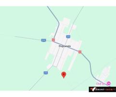 Anunturi Imobiliare 5000 metri teren arabil in Pogoanele, Judetul Buzau