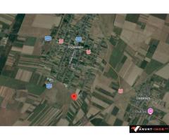 Anunturi Imobiliare 5000 metri teren arabil in Pogoanele, Judetul Buzau