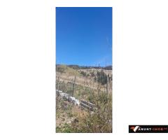Anunturi Imobiliare Vând casa batraneasca și teren 3892m