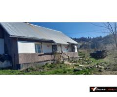 Anunturi Imobiliare Vând casa batraneasca și teren 3892m