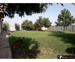 Anunturi Imobiliare Vila comuna Berceni