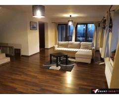 Anunturi Imobiliare Vila comuna Berceni