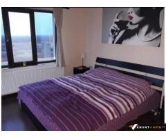 Anunturi Imobiliare Vila comuna Berceni