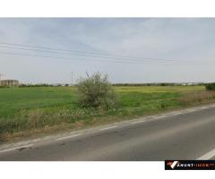 Anunturi Imobiliare Teren intravilan pentru hale industriale / logistică – Varianta Cta